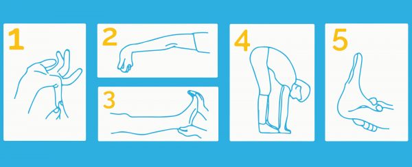 Hypermobility | All For One