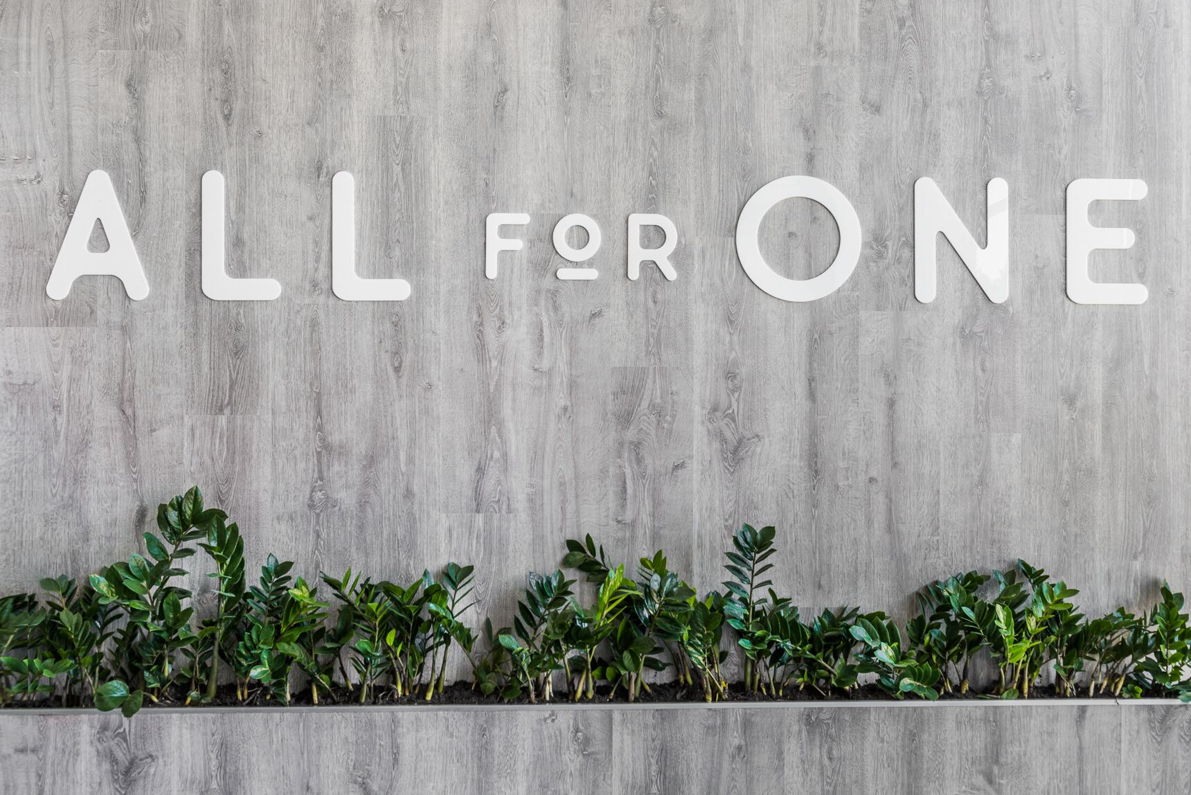 allforone - ALL_FOR_ONE_-8