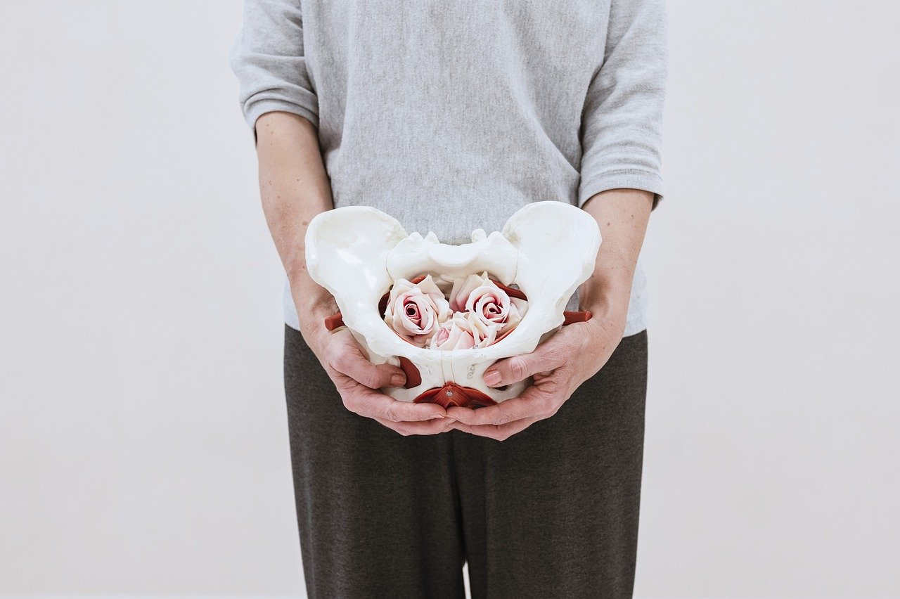 allforone - pelvic-bone-8242749_1280