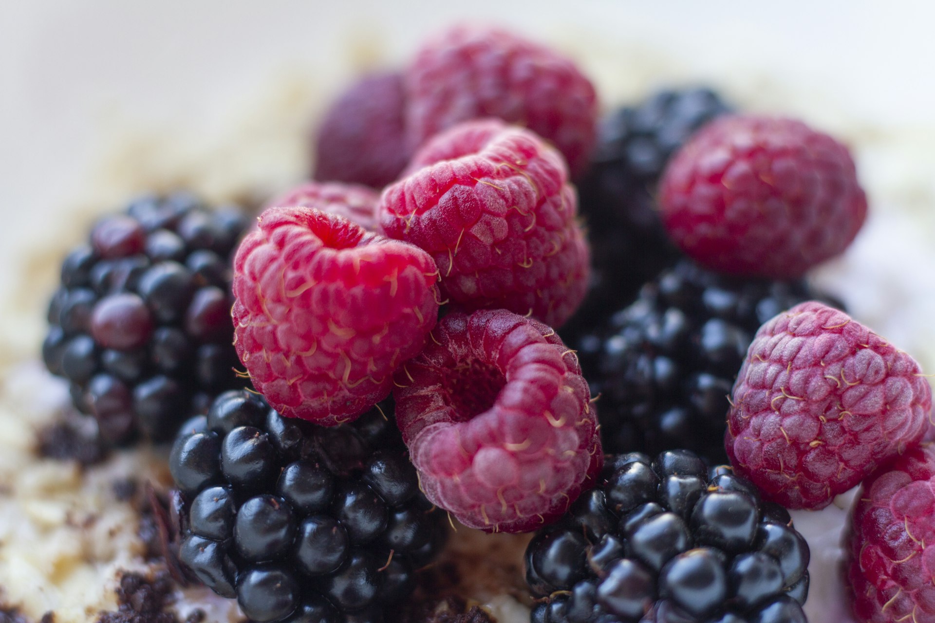 Raspberries and blackberries on a bowl of oats