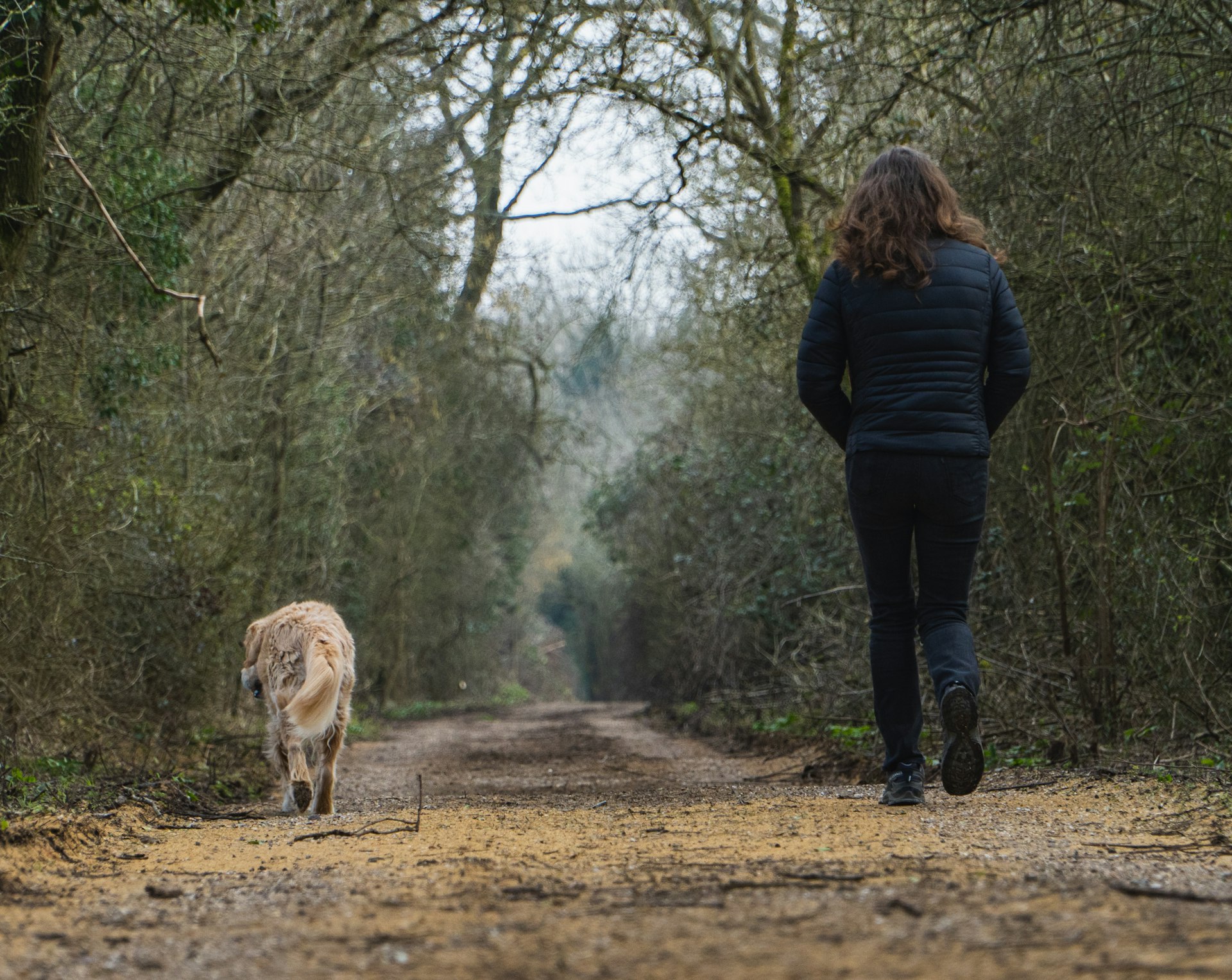 Woman walking briskly along a tree-lined path with her dog